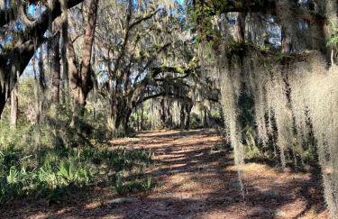 Tranquil Glamping near the Coast: Charming Rustic Cabin Rental in Midway, Georgia - Foto 11