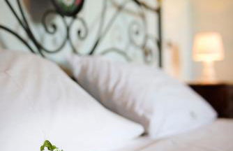 Casalantico - Foto 38