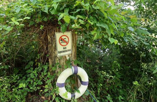 Dog Friendly Lakeside Escape with Hammock and Fire Pit - Foto 32