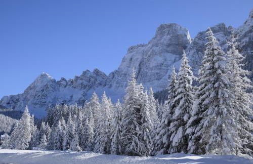 Cesa Fossal - Foto 25