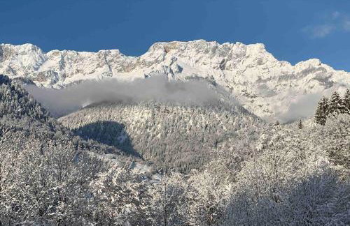 Bergromantik Ferienwohnung Nesterl mit eigener Sauna und Bergblick - Foto 12
