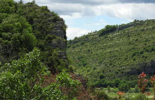 La Nichoule - Foto 18