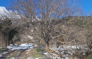 Feneos apartment - Foto 18