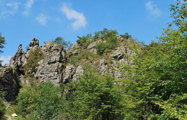 Gruppenfreundliche Villa in Liesen - Foto 29