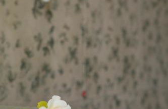 PODERI LA ROCCHETTA Countryside Estate on the Hills of Lake Garda - Foto 66