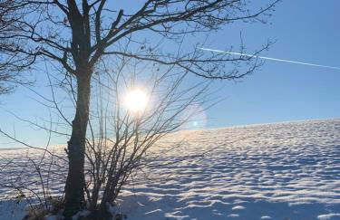 CityNest und Auszeit - Zwei Ferienwohnungen, ein Standort - Ideal für Paare und Familien mit Kleinkind - Foto 36