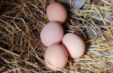 Comfortable Apartment with Pool in Marco de Canaveses - 50 m² - Foto 16