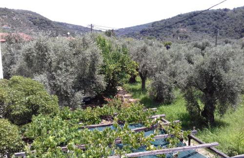 Koutadelias rooms - Foto 60