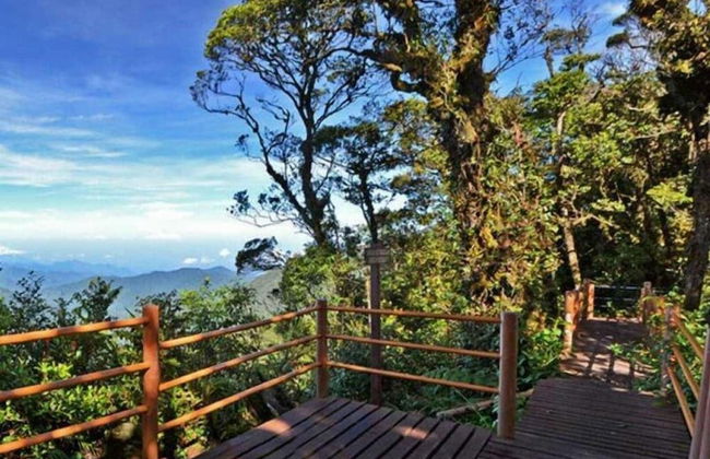 Misty Forest II - 9 Pax Next To Night Market - Foto 52