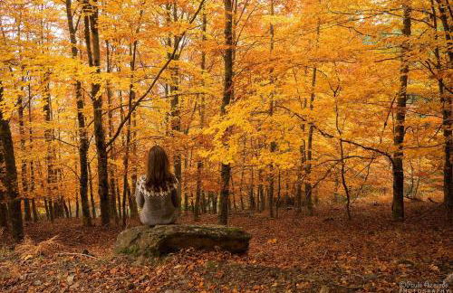 Arcadas da Vila - Foto 9