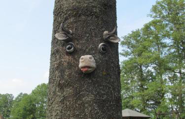 Ferienwohnung am Storchennest - Foto 22