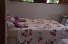 Flor de cacto - Foto 16