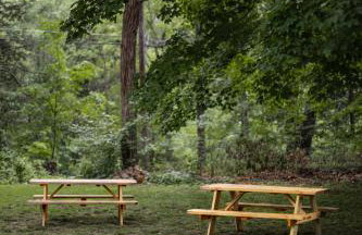 Perch Eagle House - Creek Access, Sauna, Mt views - Foto 21