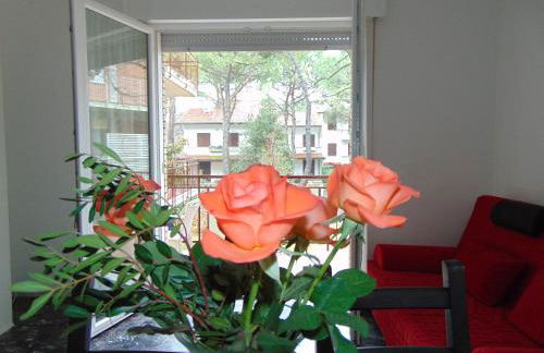 Mi.Ma's dream - Foto 8