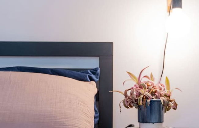 Lecropt House Pet Friendly Stays Inverurie Aberdeenshire - Foto 44