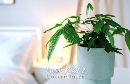 Designer apartments for City Breaks in Chester - Photo 24