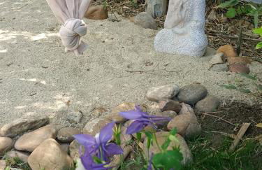 Cocoon inn&Spa - Foto 52