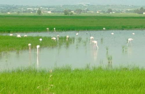 LoftCalJoan - Foto 19