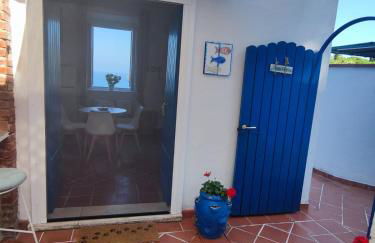 Pino Marino - Foto 3