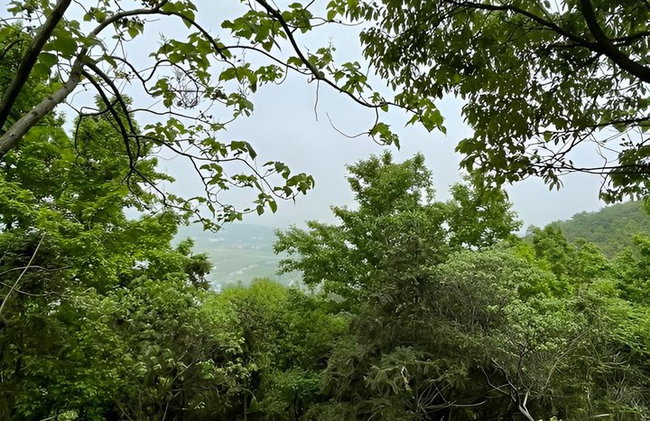 Excursión de un día a la Pequeña Gran Muralla de Yixing desde Shanghái - Foto 19