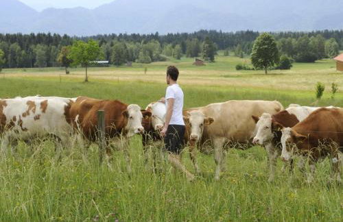 Seeleitenhof - Foto 21