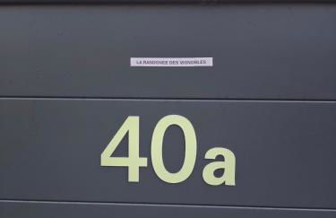 La randonnée des vignobles - Foto 2