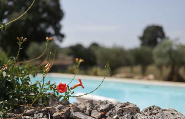 Casale Boara - Foto 39