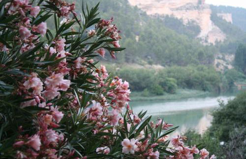 ALCALA DEL JUCAR, Casa rural Rio Tranquilo 1 -Piscina privada- - Foto 67