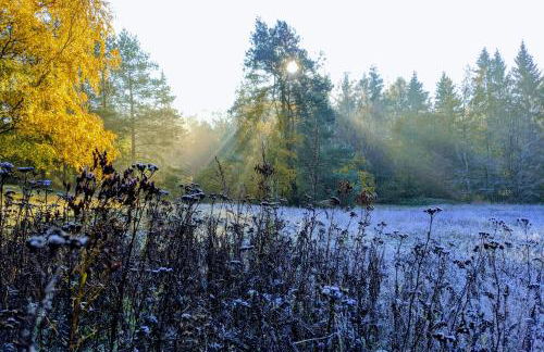 Uhlpartment - im Herzen von Uelzen - Foto 38