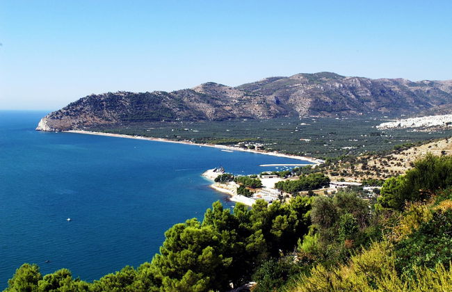 Case Vacanze L'Uliveto - Foto 55