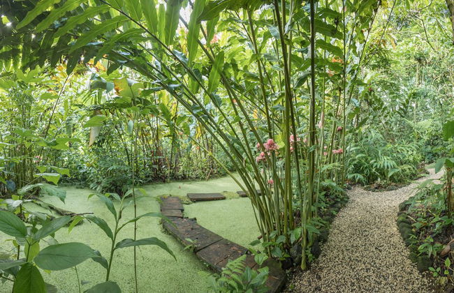 Cabañas del Rio - Foto 25