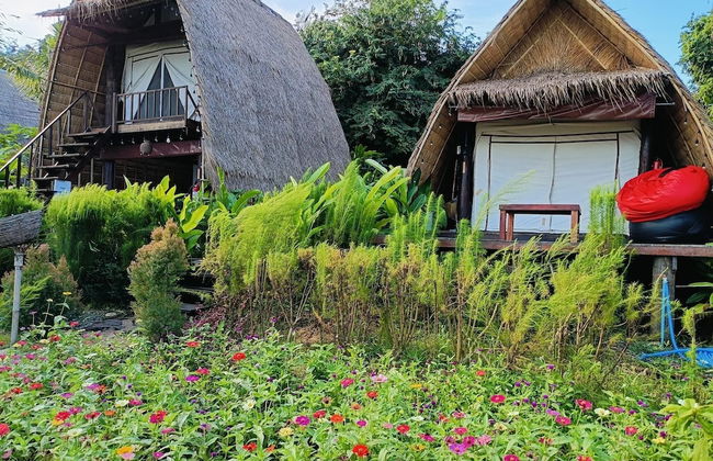 The Frog Cabana - Photo 3