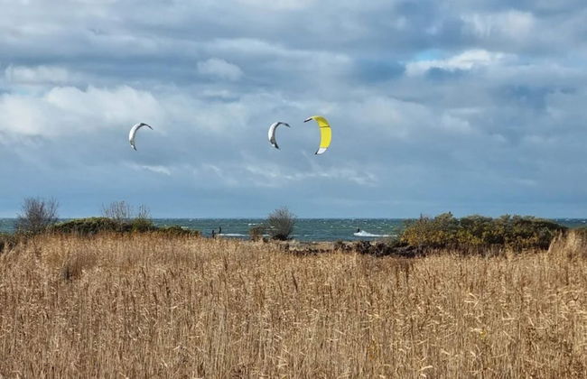 10 Person Holiday Home in Dragor-by Traum - Foto 17