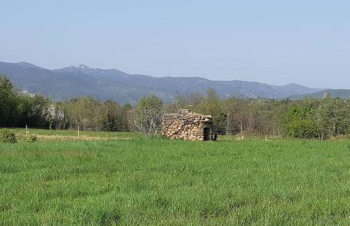 GITE DE NOGAROLS - Foto 13