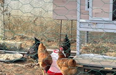 Gîtes Oasis du Lot - Foto 47