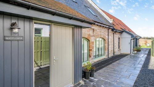 Mayflower - Uk43632 - Foto 2