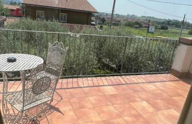 Residence Ulivi - Foto 2