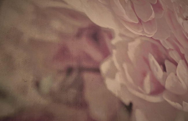 Culzean House - Carfin - Photo 9