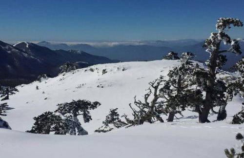 Tana di Zia Nature, Yourself, Love - Foto 37