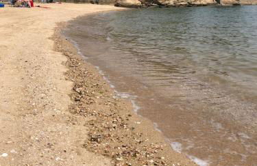 Cozy Garden Apartment Along the Shoreline - Foto 11