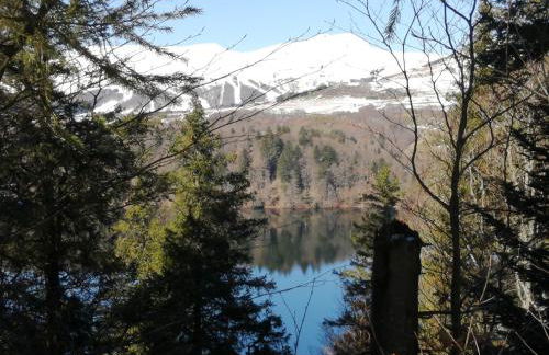 L'auvergnate - Foto 28