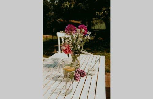 Landhaus Kurzenmoor Remise 100 qm - Photo 22