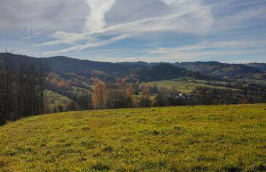 Sielanka, wyjątkowy dom, jacuzzi - Foto 60