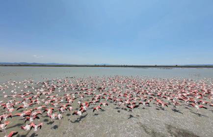 Avocetta Luxury Villas by TravelPro - Halkidiki - Photo 20