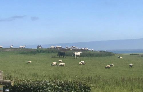 3 Bed in Belford oc-cn022 - Foto 33