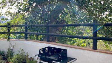 Alpujarra garden oasis - Foto 3, Garden