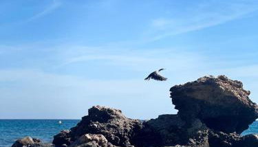 Heavenly Homes Mojacar 75 - Photo 2