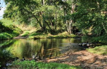 Maison Belle Vue - Foto 57