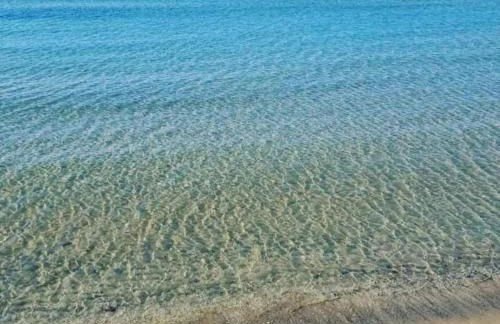 Oasi del mare - Foto 71