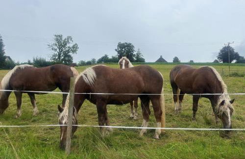 Landhaus am Schloss - Photo 16